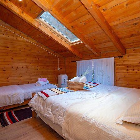 Bee Eco Guest House Moll' e Shoshit المظهر الخارجي الصورة