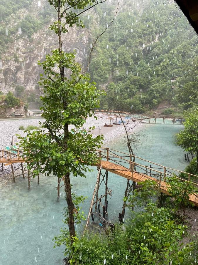 Bee Eco Guest House Moll' e Shoshit المظهر الخارجي الصورة