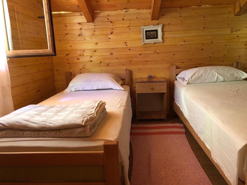 Bee Eco Guest House Moll' e Shoshit المظهر الخارجي الصورة