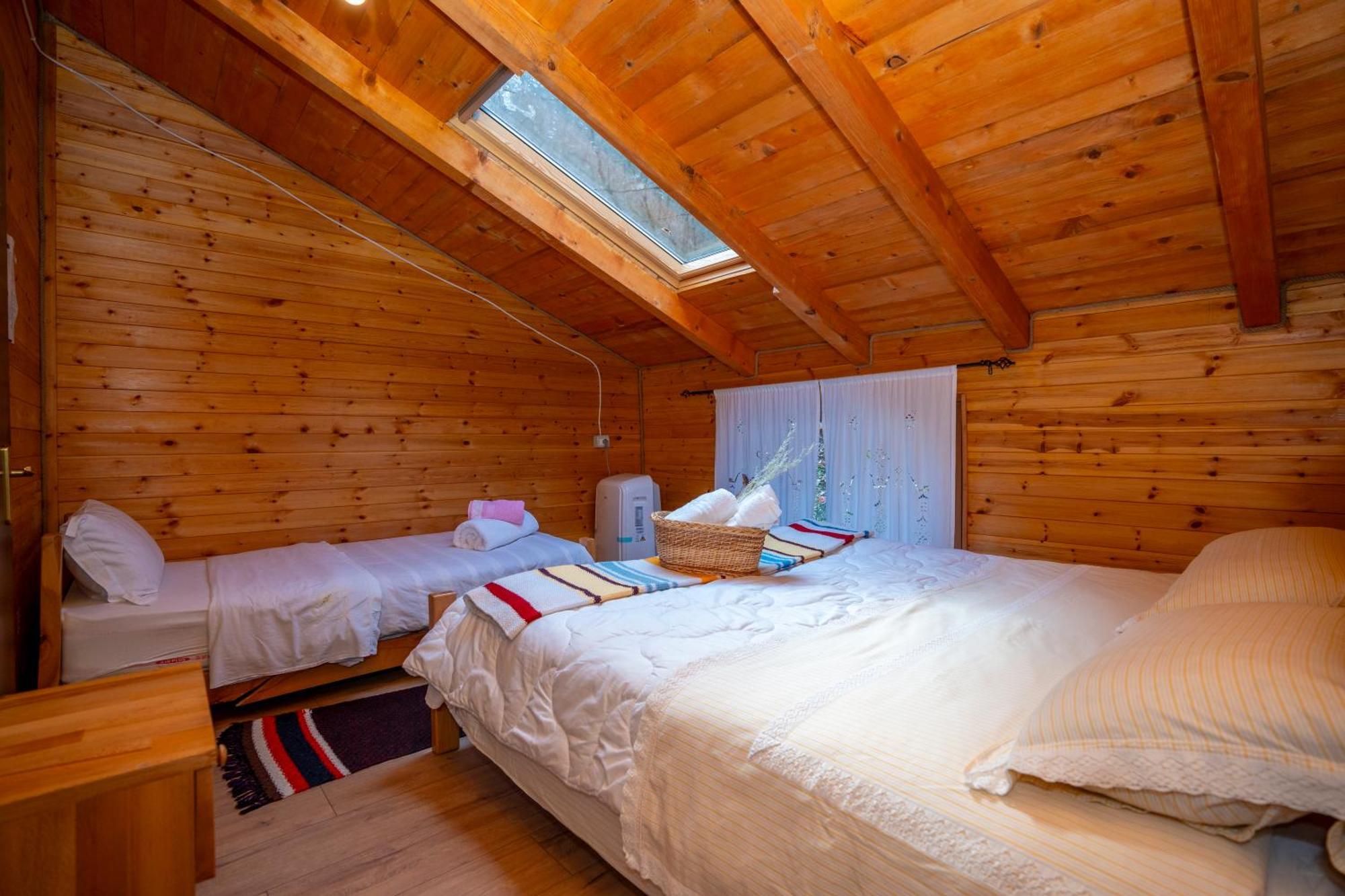 Bee Eco Guest House Moll' e Shoshit المظهر الخارجي الصورة