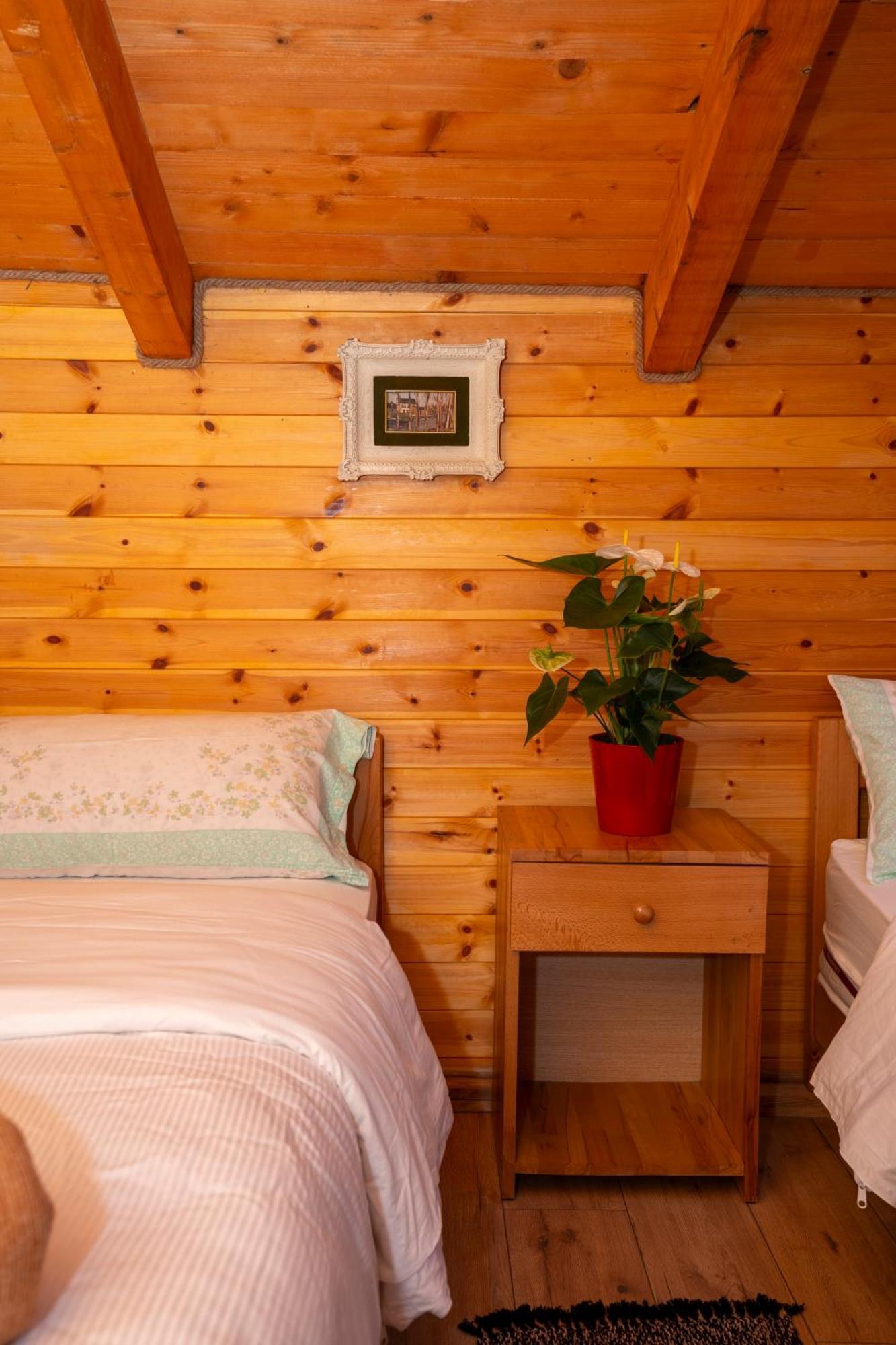 Bee Eco Guest House Moll' e Shoshit المظهر الخارجي الصورة
