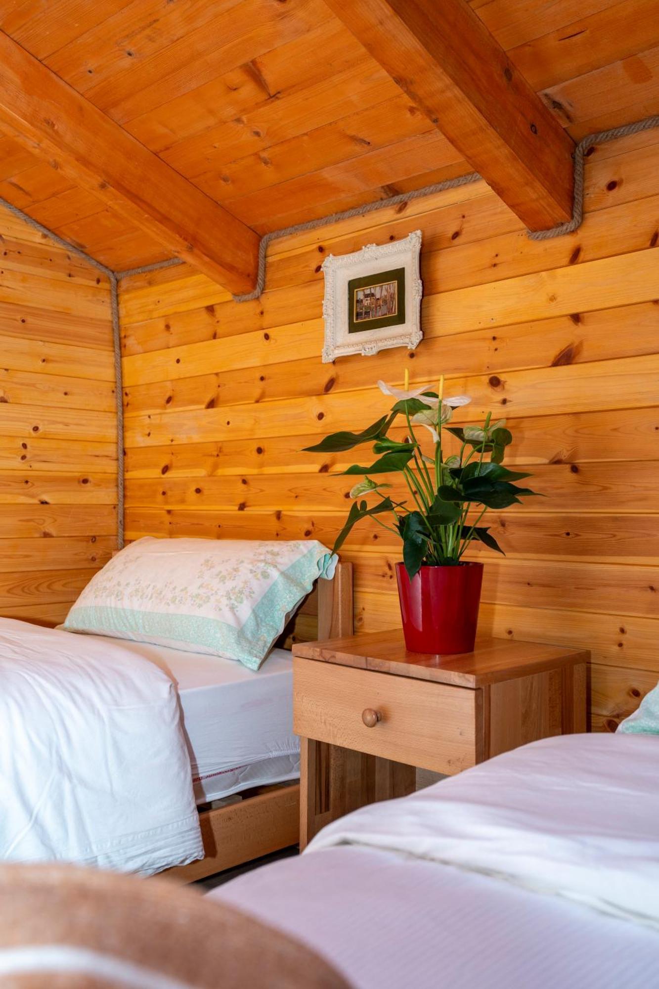 Bee Eco Guest House Moll' e Shoshit المظهر الخارجي الصورة