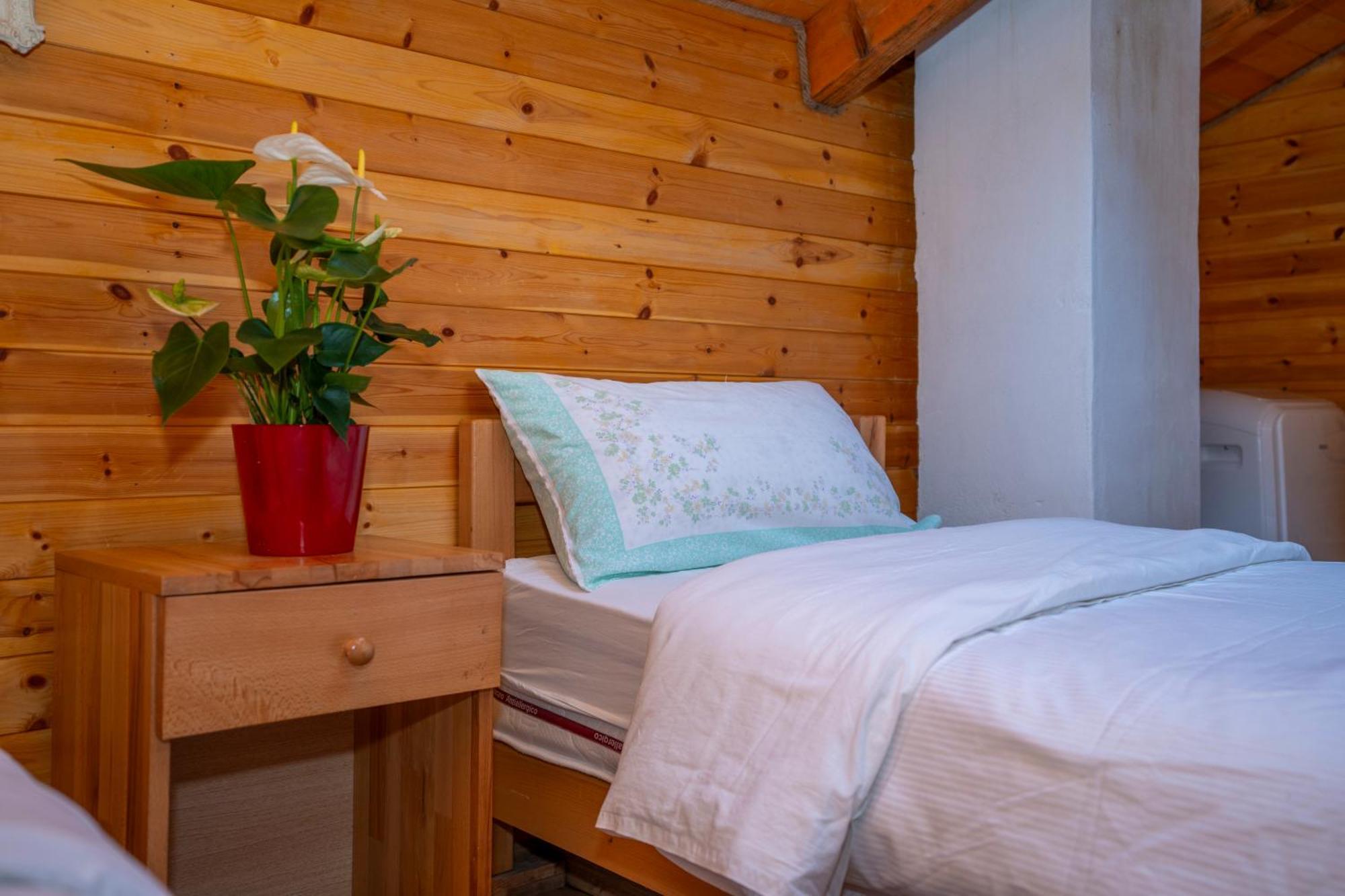 Bee Eco Guest House Moll' e Shoshit المظهر الخارجي الصورة